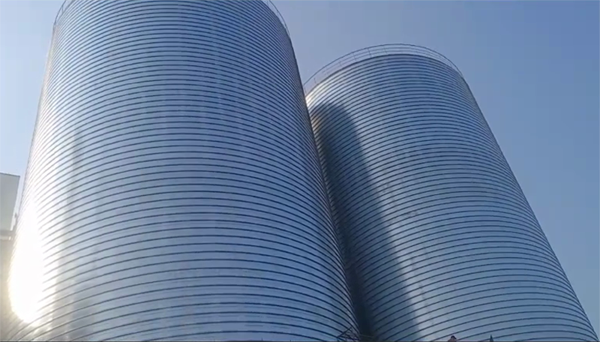 雨花台2座混凝土高架卷板仓